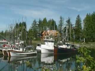  Остров Ванкувер:  Британская Колумбия:  Канада:  
 
 Залив Оуоукиниш